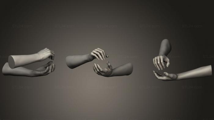 Анатомия скелеты и черепа (Женские руки 16153, ANTM_0495) 3D модель для ЧПУ станка